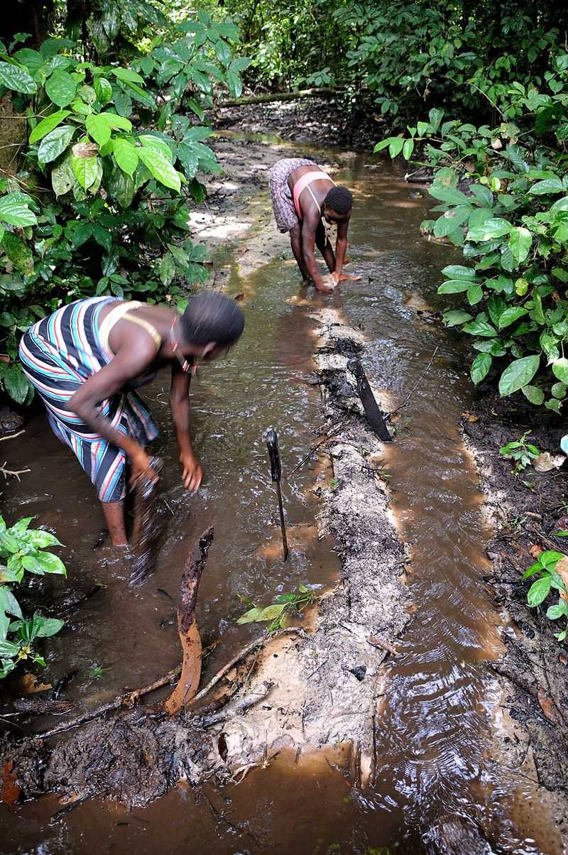 Democratic Republic of the Congo Democratic Republic of the Congo