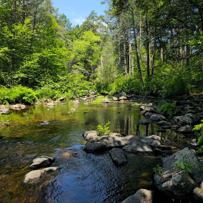 Devil's Hopyard, Stark, New Hampshire Devil's Hopyard, Stark, New Hampshire