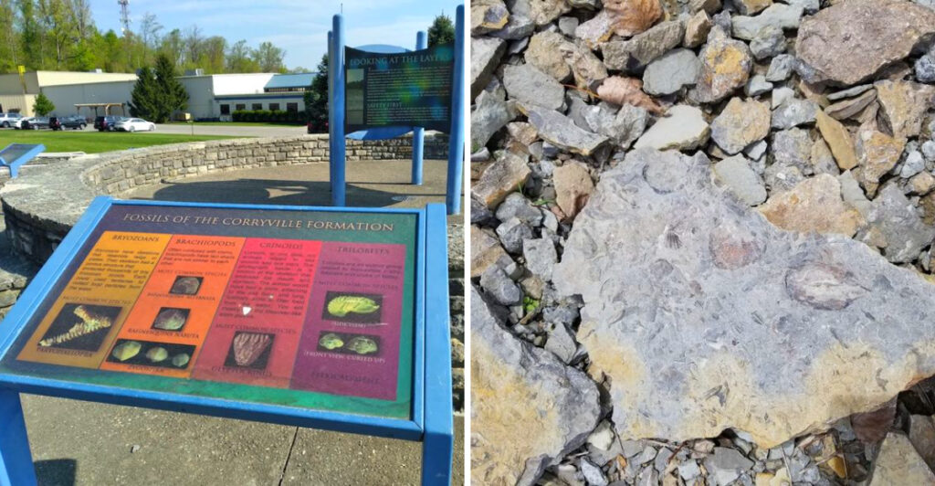Dig Up 450 Million Year Old Fossils at This Free Ohio Park