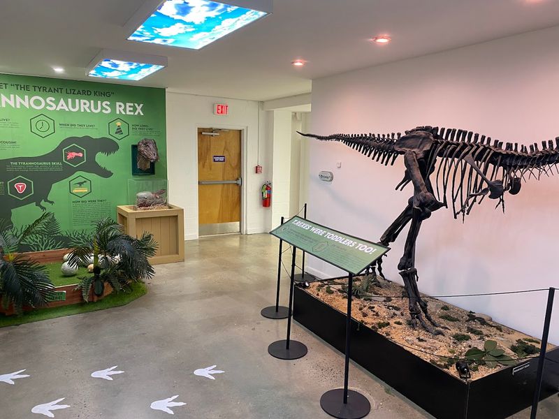 Dinosaurs, Fossils, and the Hands-On Dig Pit Dinosaurs, Fossils, and the Hands-On Dig Pit