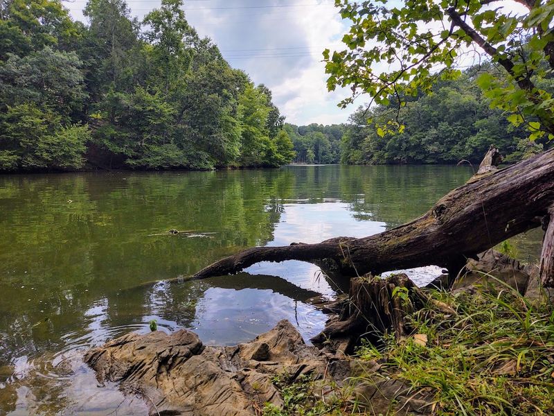 Disc Golf on the Water's Edge