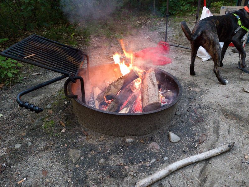 Dog-Friendly Camping Done Right Dog-Friendly Camping Done Right