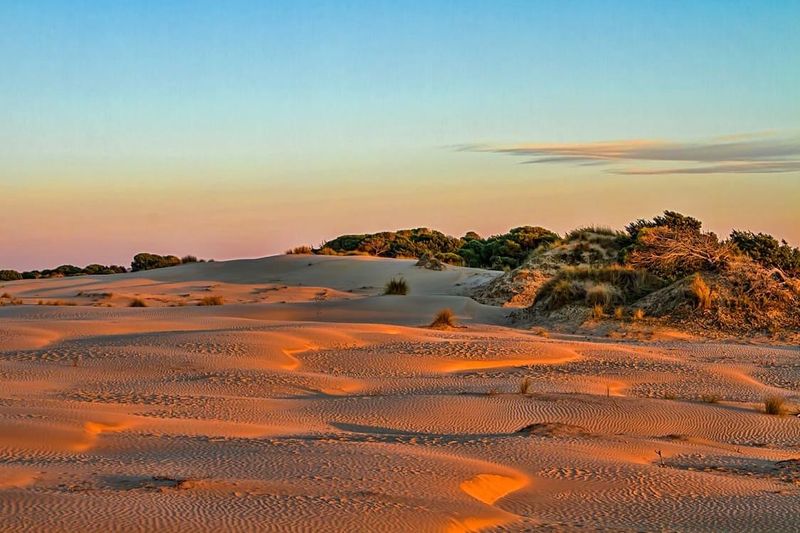 Donana National Park, El Rocio, Andalusia, Spain Donana National Park, El Rocio, Andalusia, Spain
