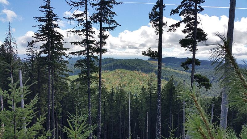 Drive Scenic Back Roads Instead of Major Highways Drive Scenic Back Roads Instead of Major Highways