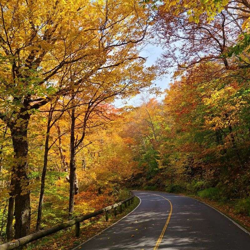 Driving to the Summit: A Scenic Road Option Driving to the Summit: A Scenic Road Option