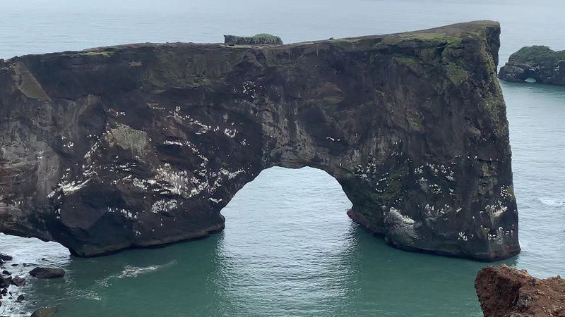 Dyrhólaey Nature Reserve, Vík, South Iceland