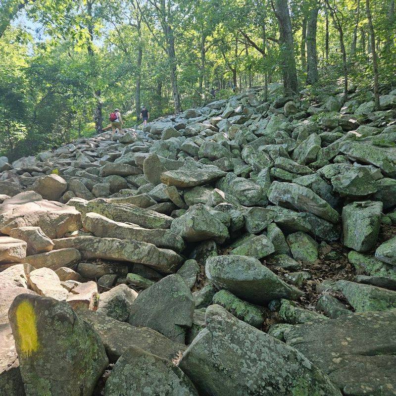 East Summit Trail: Where the Real Scrambling Begins