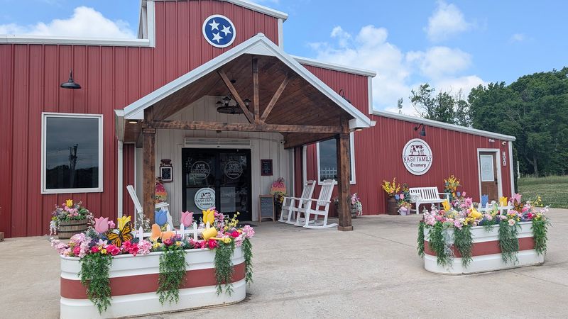 Educational Dairy Farm Tours That Teach and Entertain