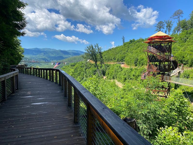 Elopements and Celebrations on the Mountain