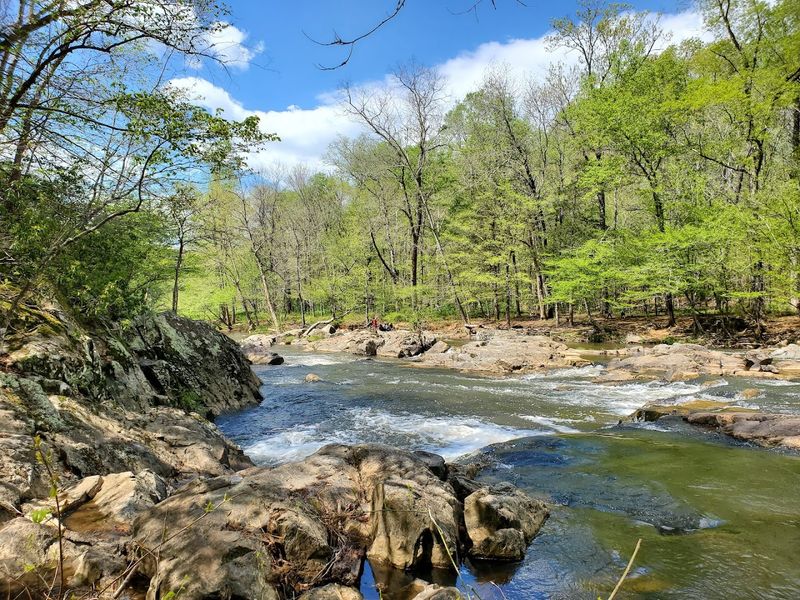 Eno River State Park — Durham, North Carolina Eno River State Park — Durham, North Carolina