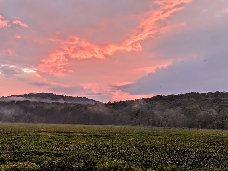Erie National Wildlife Refuge, Guys Mills, Pennsylvania