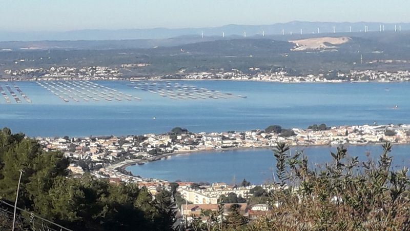 Etang de Thau, Occitanie, France