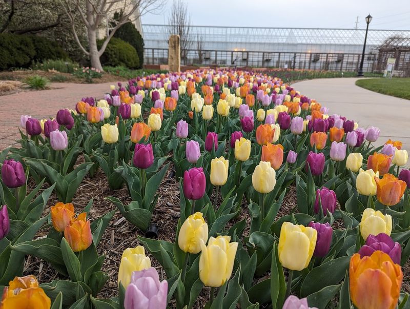 Every Season Brings a Completely Different Garden Every Season Brings a Completely Different Garden