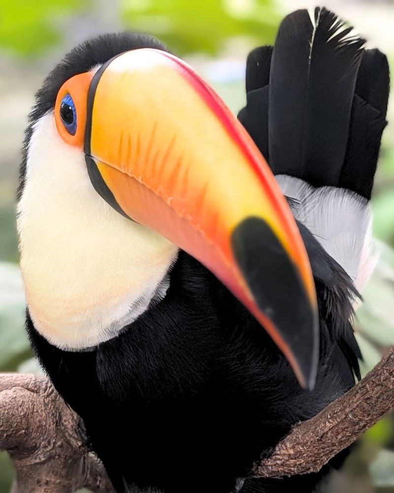 Exotic Species From Every Corner of the Globe