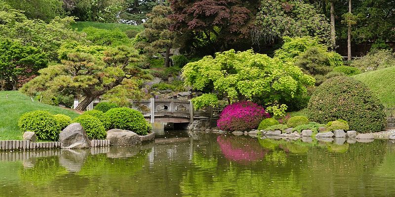 Explore Botanical Gardens Instead of Another Museum Explore Botanical Gardens Instead of Another Museum