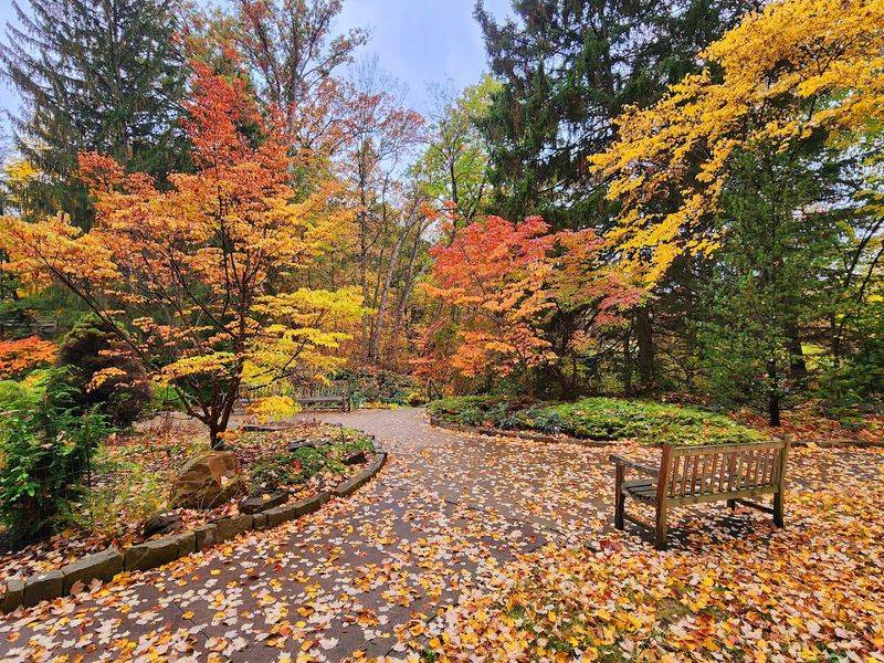 Fall Color That Rivals the Spring Blooms Fall Color That Rivals the Spring Blooms