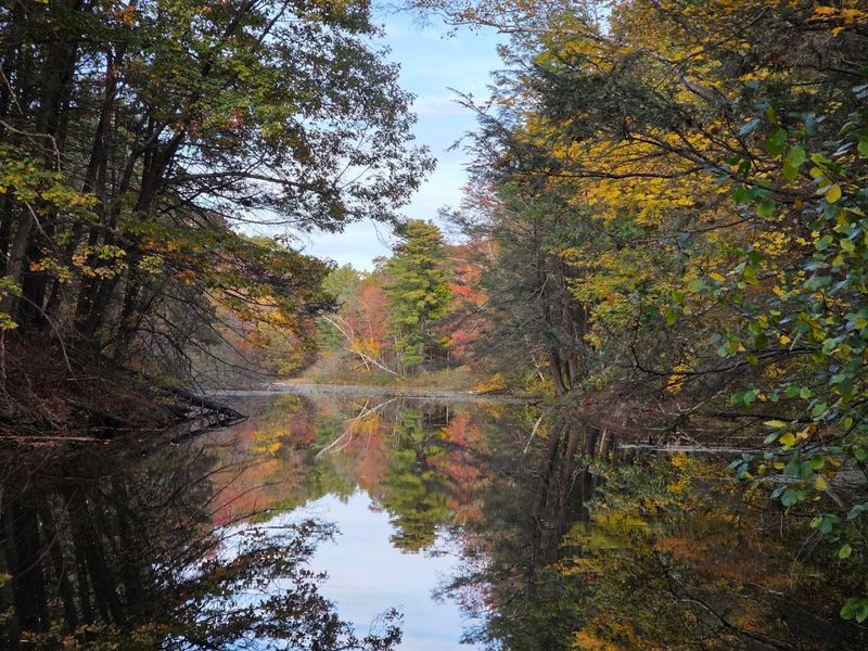 Fall Colors That Deserve a Visit on Their Own