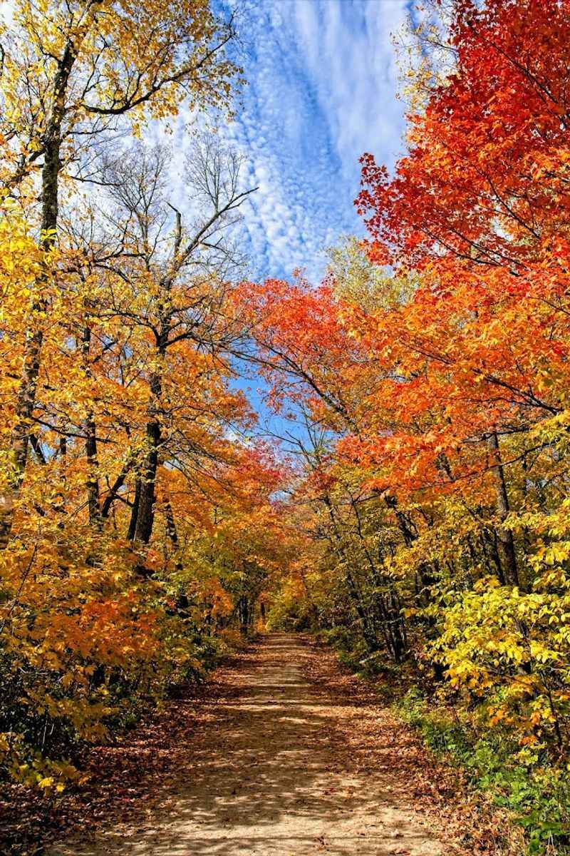 Fall Colors That Turn the Park Into a Painting Fall Colors That Turn the Park Into a Painting