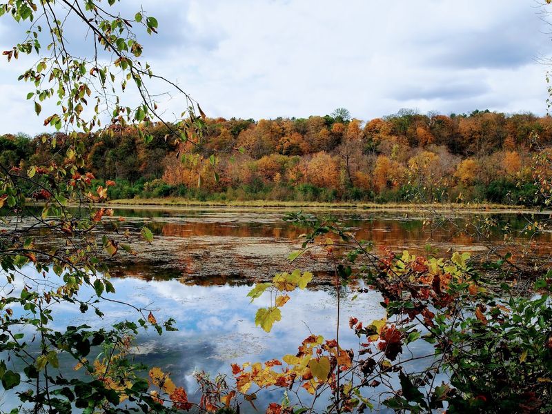 Fall Colors and Seasonal Highlights Fall Colors and Seasonal Highlights