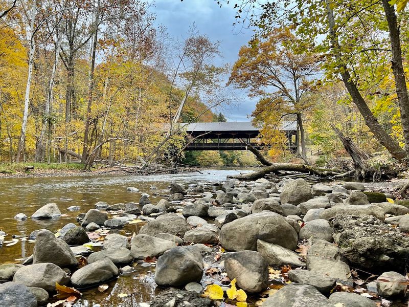 Fall Colors and the October Effect