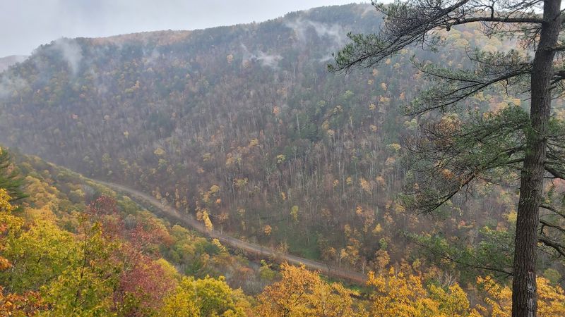 Fall Foliage Season: When the Canyon Becomes Something Else Entirely