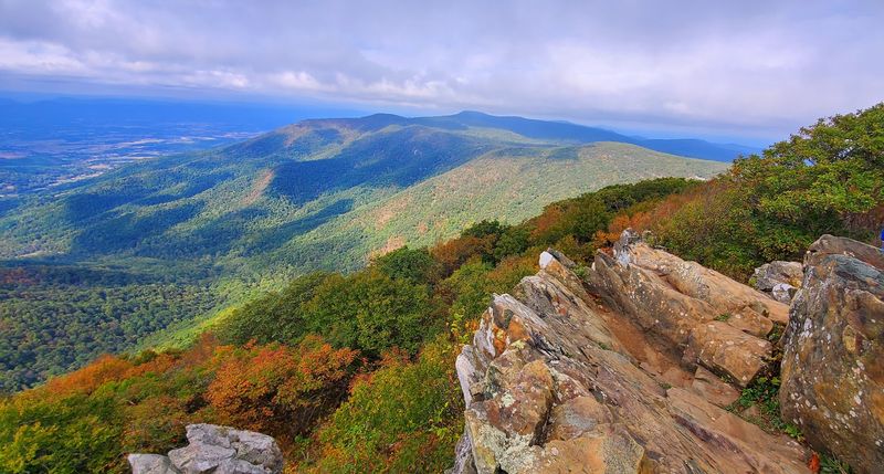 Fall Foliage Season and Why It Draws Such a Crowd