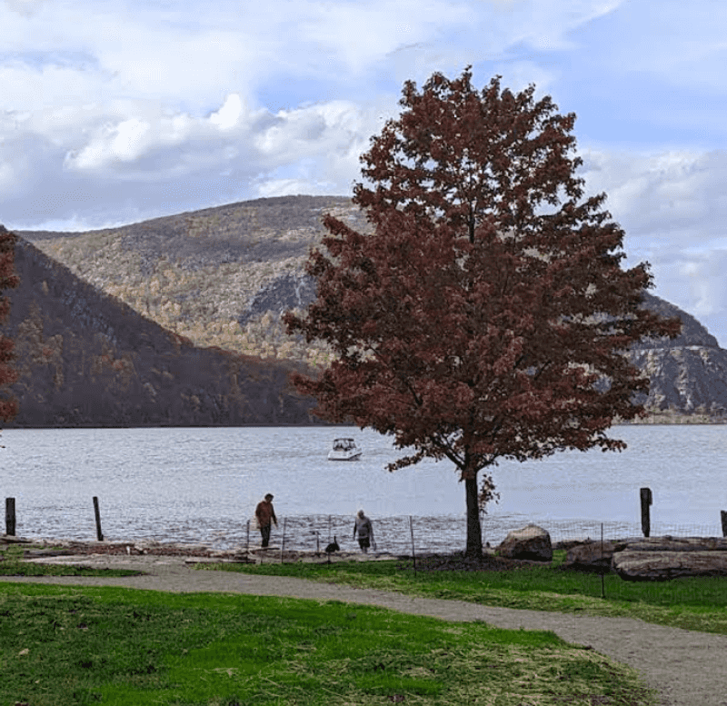 Fall Foliage Season and Why Timing Matters Fall Foliage Season and Why Timing Matters