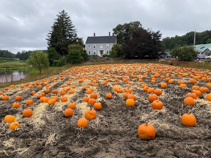 Fall Is When the Farm Truly Shines Fall Is When the Farm Truly Shines
