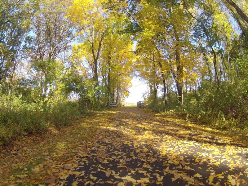 Fall on the Trail: Peak Season and What to Know Fall on the Trail: Peak Season and What to Know