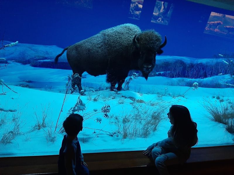 Family-Friendly Features: Kids Learn by Doing Here