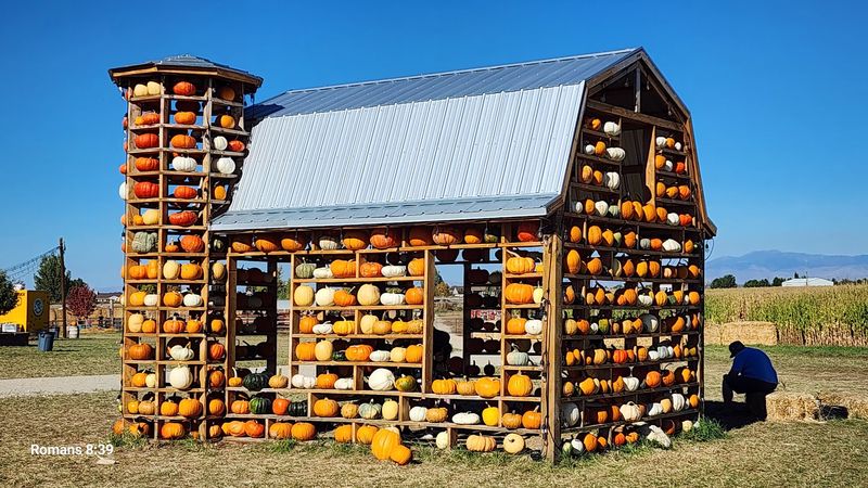 Farm Food That Fuels a Full Day of Adventure