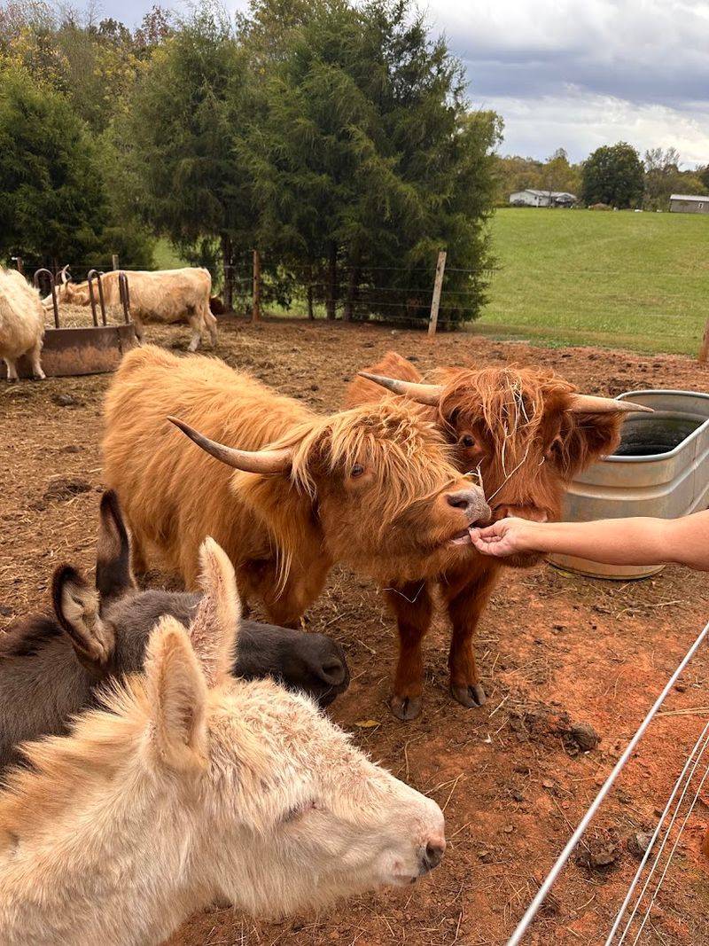 Farm Tours That Cover Every Corner