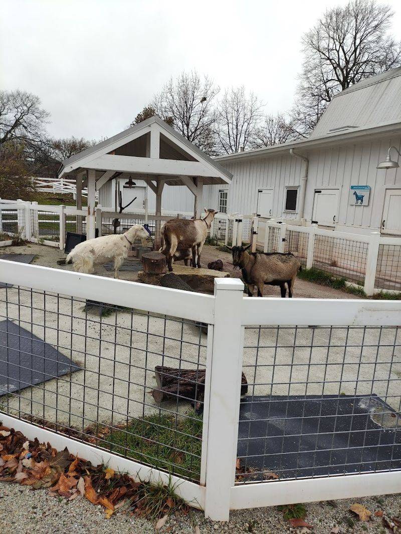 Farm-in-the-Zoo — Chicago, Illinois