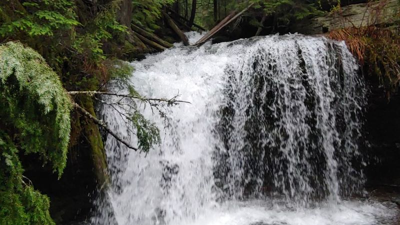 Fern Falls, Island Park, Idaho Fern Falls, Island Park, Idaho