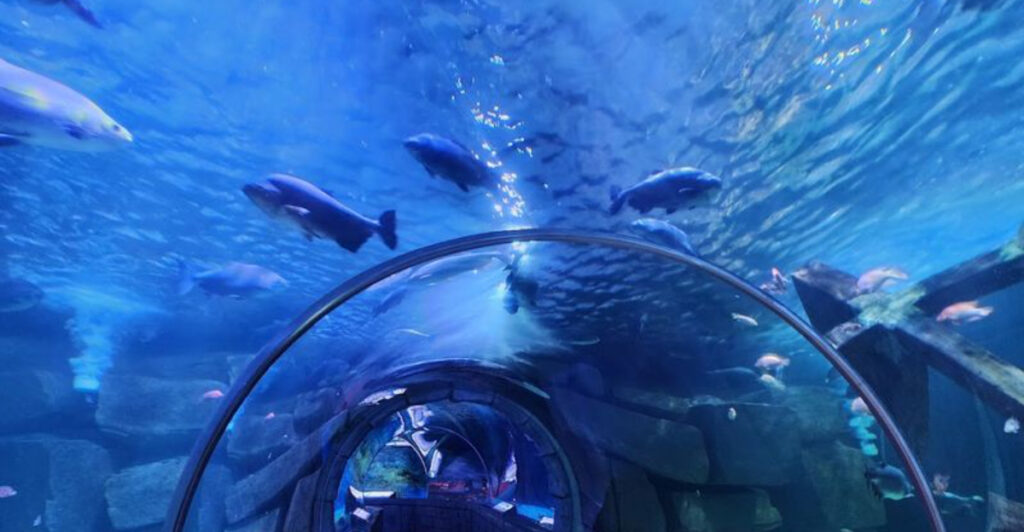 Few First-Time Visitors Realize This Bloomington Destination Has an Aquarium Beneath It
