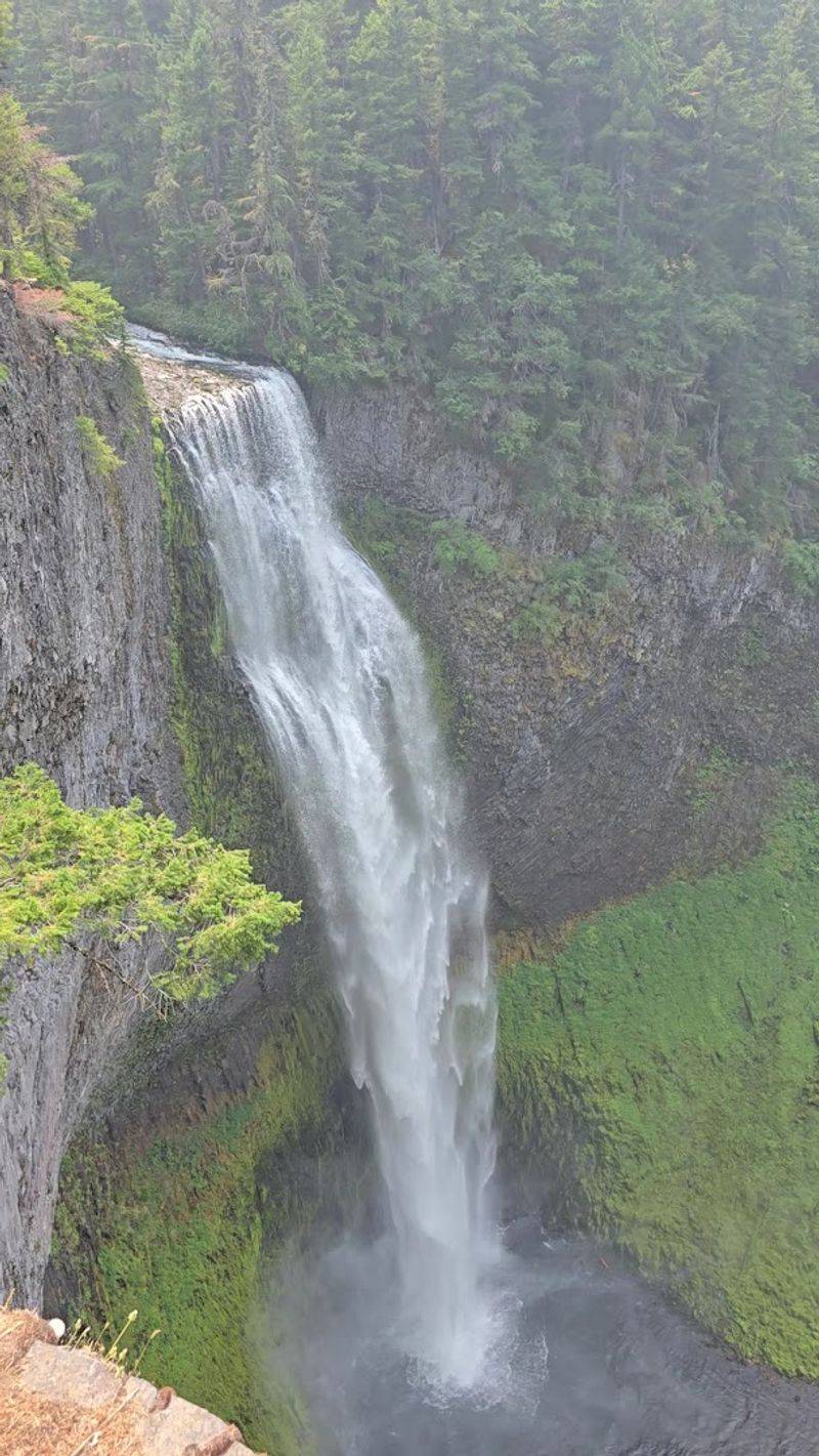 Final Thoughts on Salt Creek Falls Final Thoughts on Salt Creek Falls