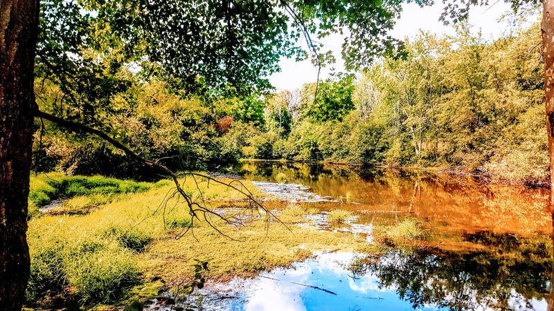 Find Boardwalks And A Wildlife Pond At Parker Meadow Find Boardwalks And A Wildlife Pond At Parker Meadow