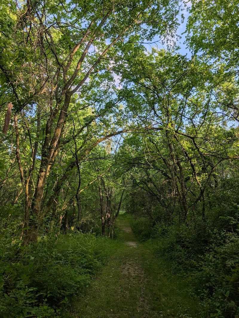 Finding Stage's Pond State Nature Preserve