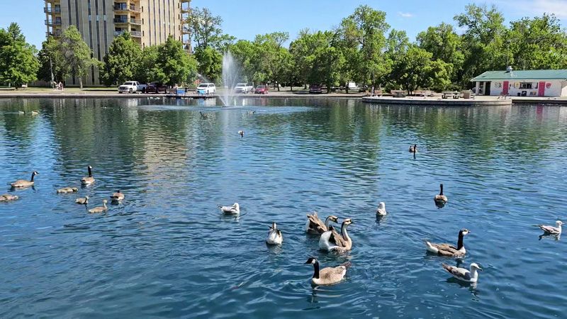 Finding the Park: Location, Address, and First Impressions Finding the Park: Location, Address, and First Impressions