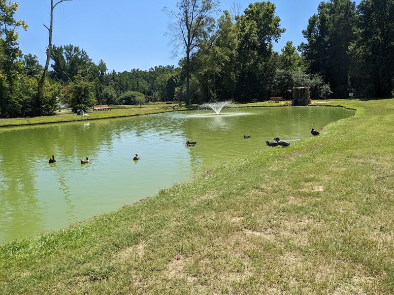 Fishing, Golf Carts, and the Joy of Just Exploring