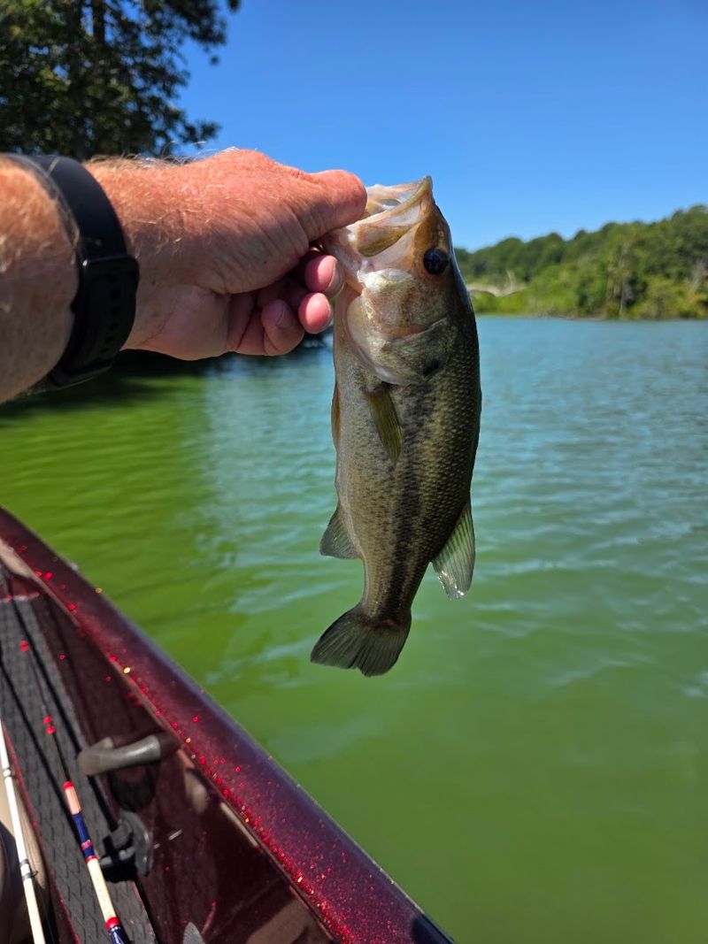 Fishing Here Is Genuinely Worth the Early Wake-Up