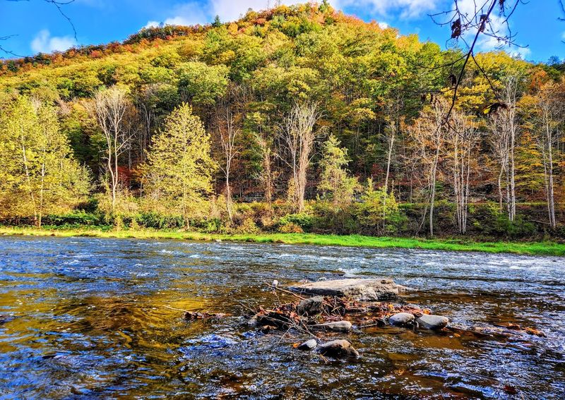 Fishing, Kayaking, and the Thrill of Pine Creek on the Water