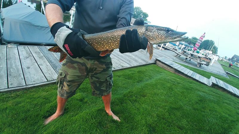 Fishing and the Au Gres River Fishing and the Au Gres River