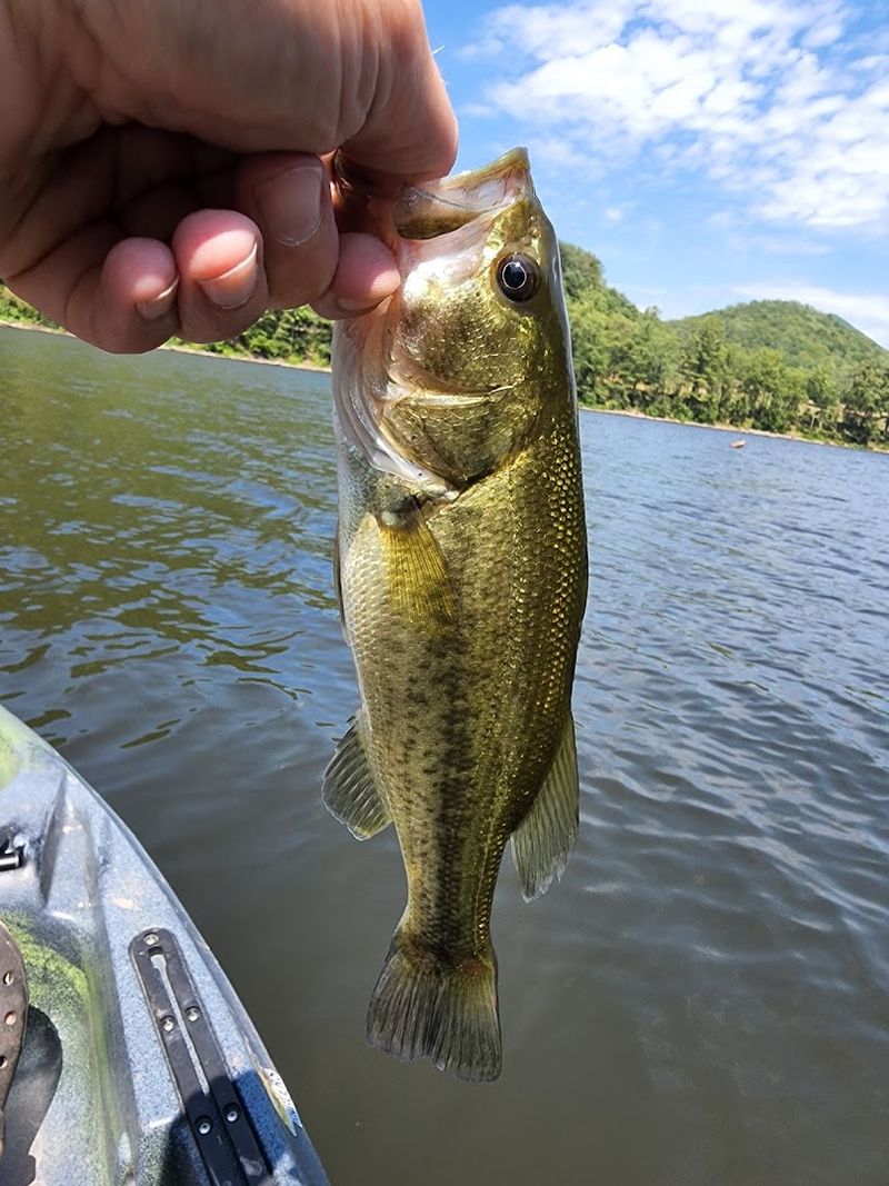 Fishing the Lake and Creek Through Every Season