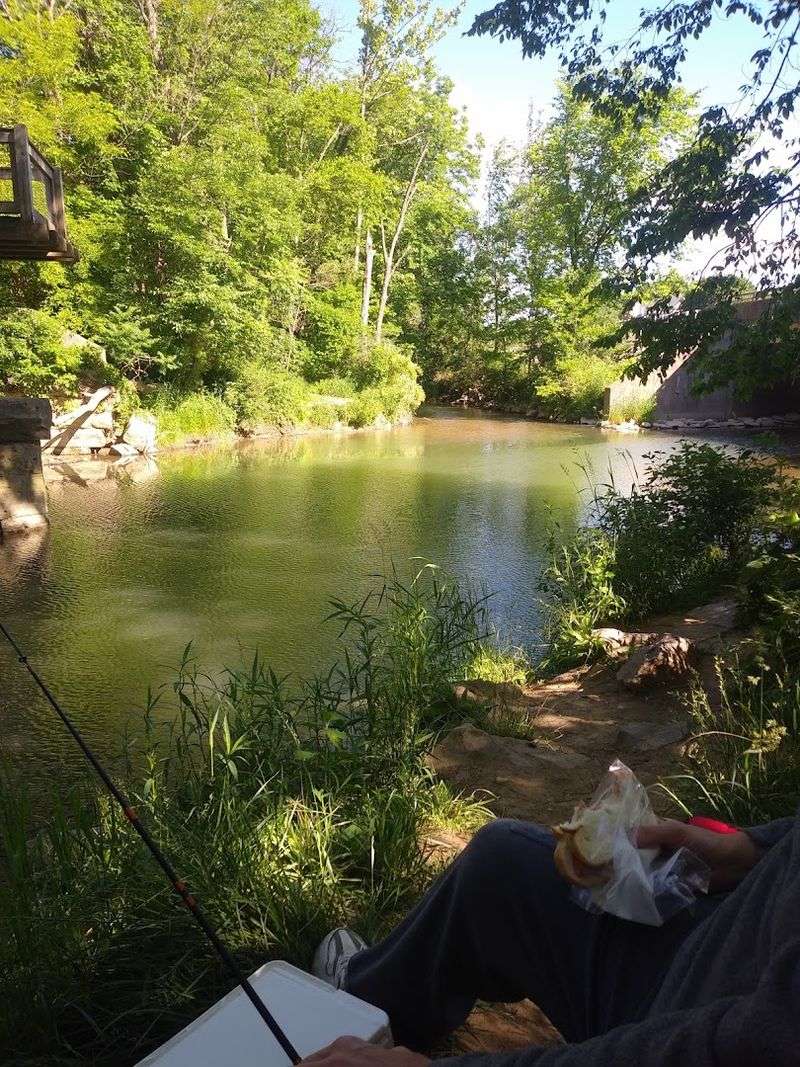 Fishing the Mahoning Creek for Rainbow Trout Fishing the Mahoning Creek for Rainbow Trout