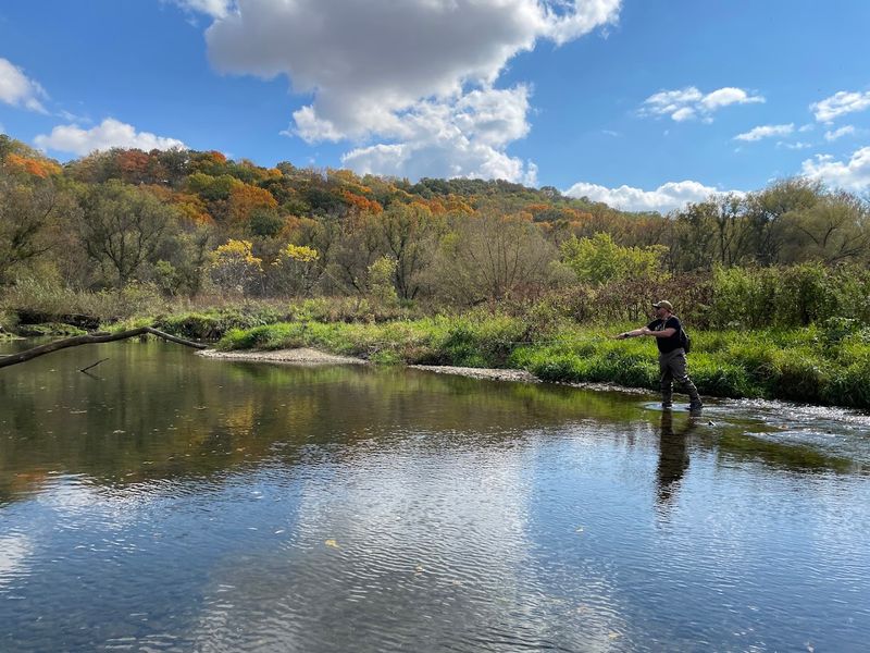 Fishing the South Branch of the Root River Fishing the South Branch of the Root River