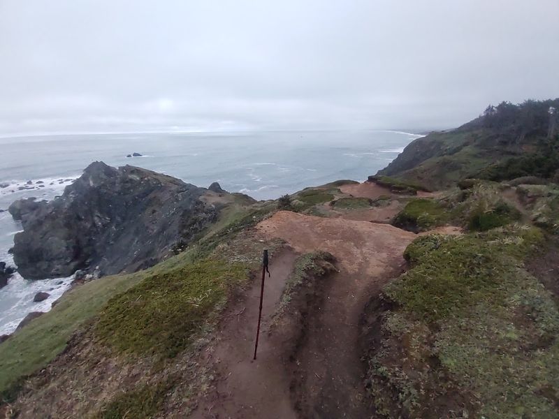 Floras Lake: The Calm Before the Cliffs Floras Lake: The Calm Before the Cliffs