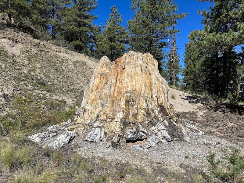 Florissant Fossil Beds National Monument, Florissant, Colorado Florissant Fossil Beds National Monument, Florissant, Colorado