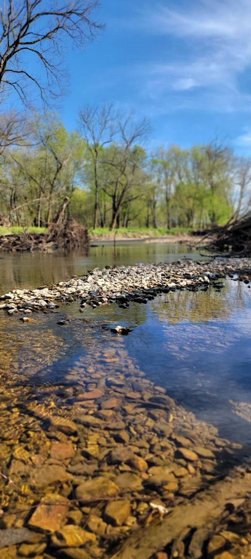 Fly Fishing on the Buffalo River Fly Fishing on the Buffalo River