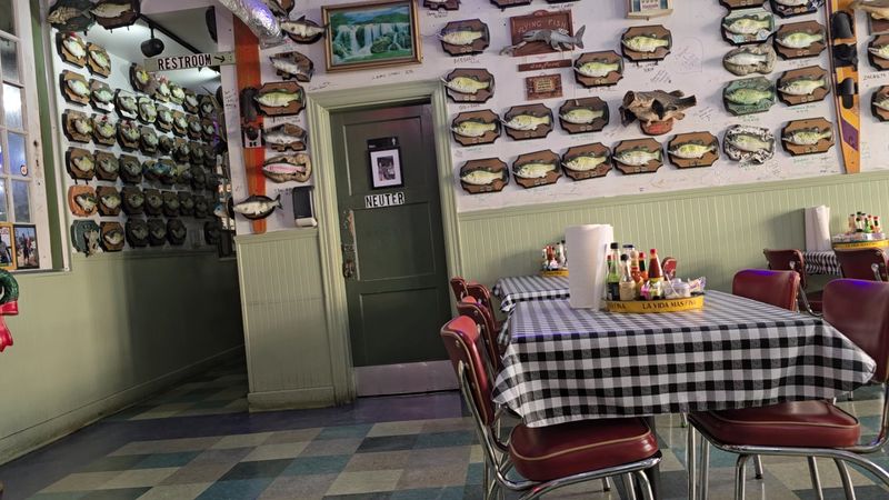 Flying Fish, Little Rock, Arkansas